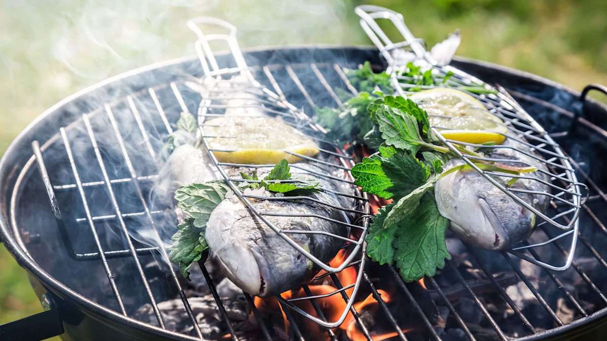 Guide De Cuisson Des Poissons Et Fruits De Mer Au Bbq L Picier