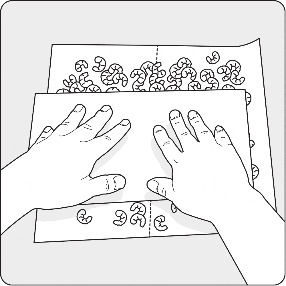 crevettes_nordiques_page_trucs