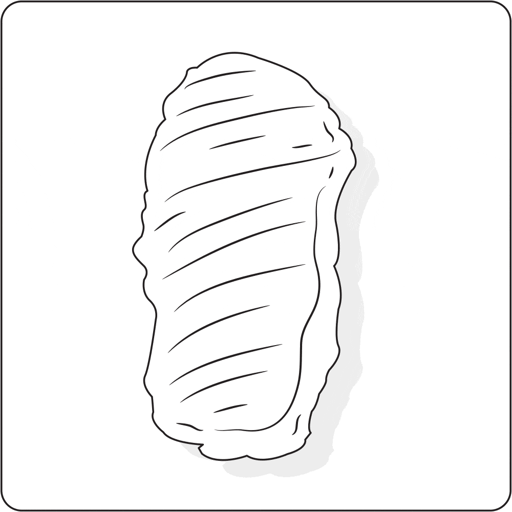 etapes_tailler_viande_01b_1000px