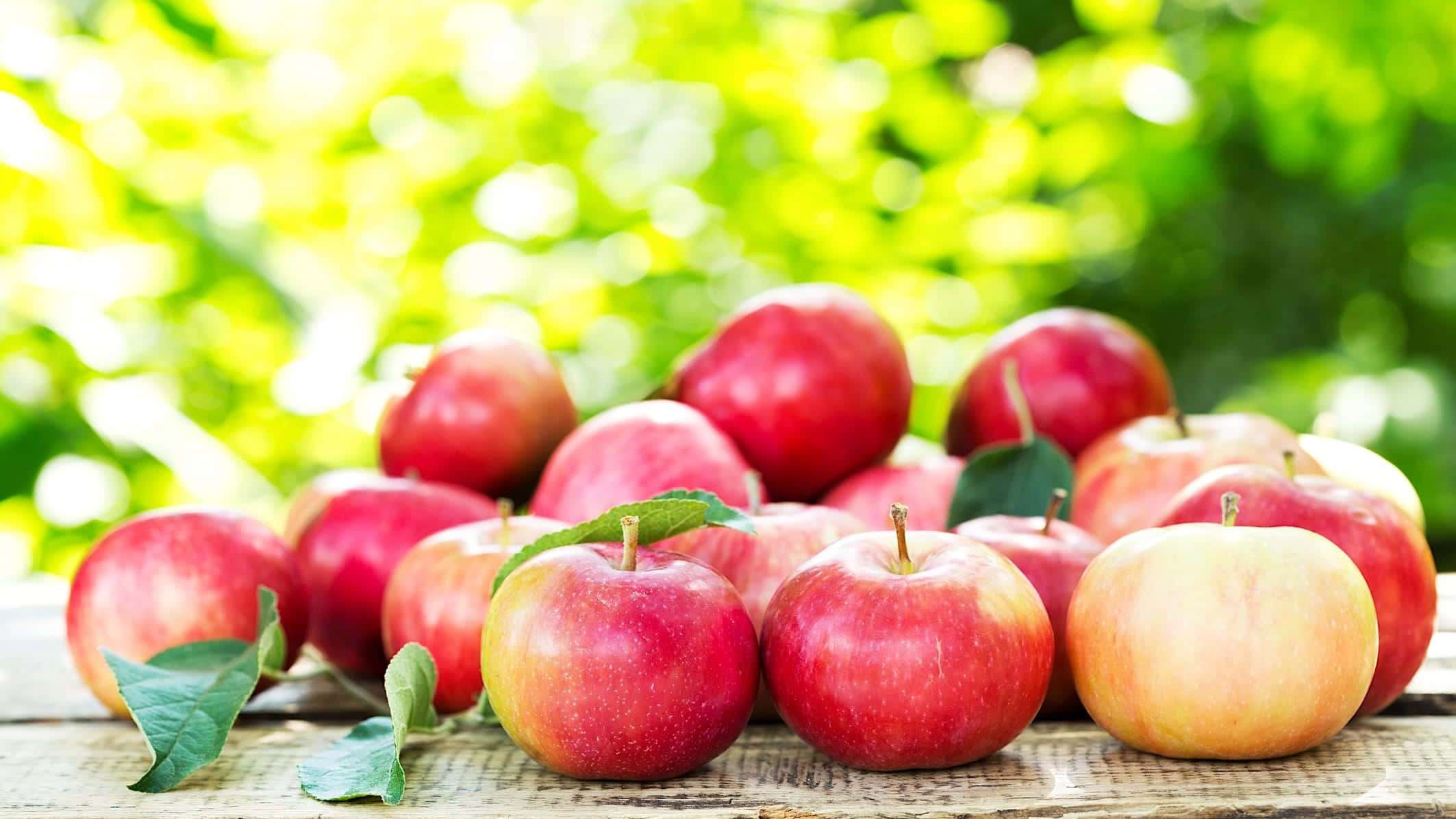 Des pommes posées sur une table à l'extérieur pour faire des recettes de viandes braisées aux pommes