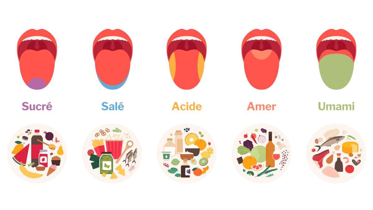 Le Gout Des Cuillères Dargent Scan Vf epicier.ca