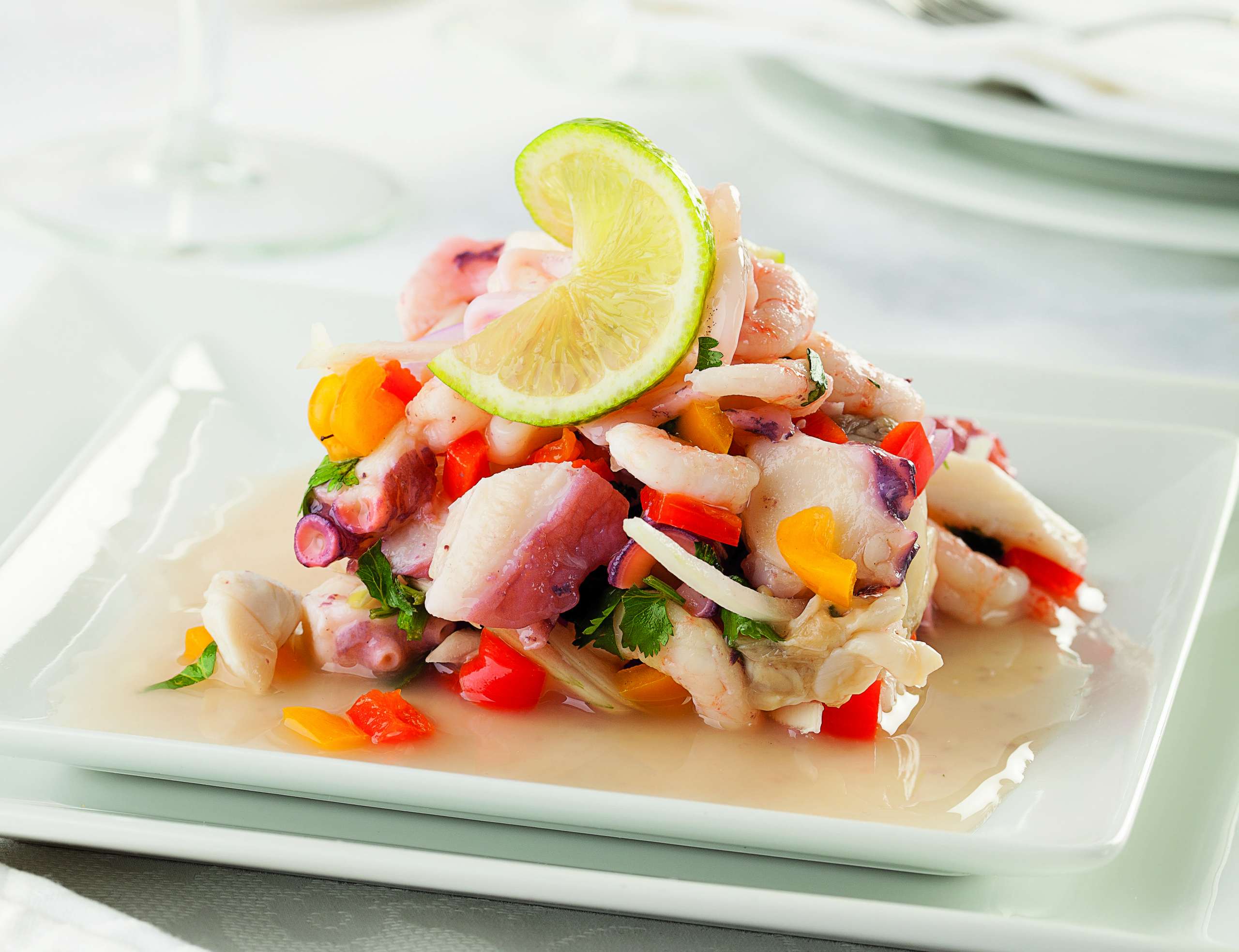 Cuisson-poissons-blancs-recettes-ceviche Un ceviche de poissons blancs garni d'oignon rouge, de cubes de poivron rouge et orange et d'herbes fraîche est dressé dans une assiette blanche avec sa marinade à la lime.