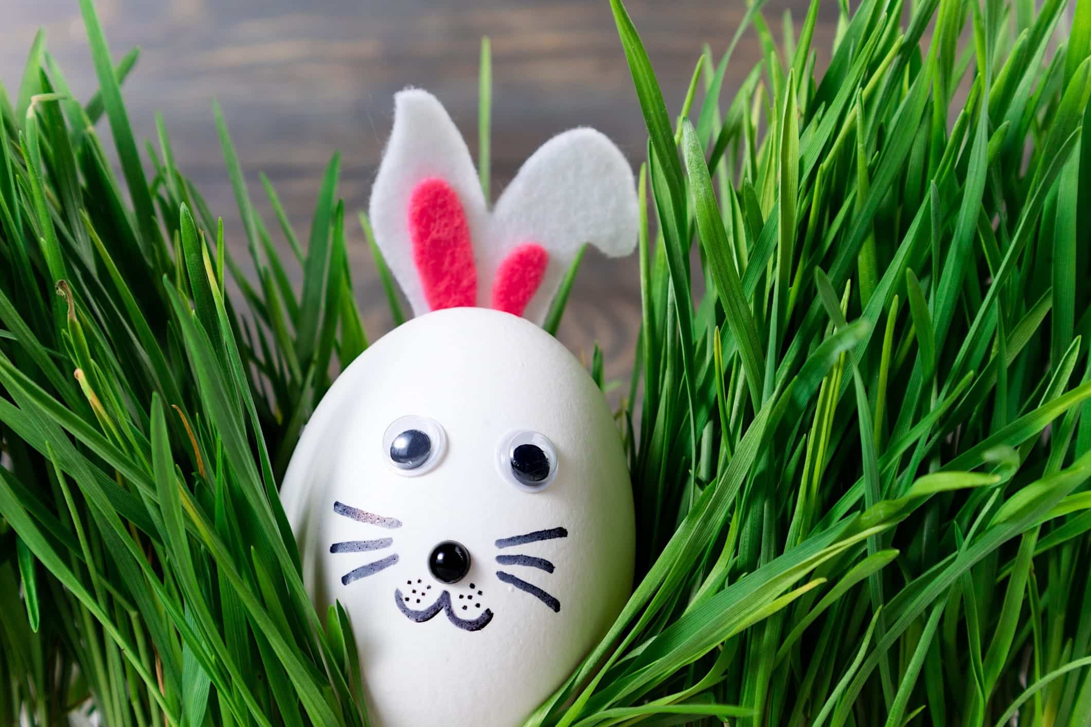 decoration-oeufs-paques-animaux Un oeufs de Pâques décoré comme un lapin est posé dans du gazon